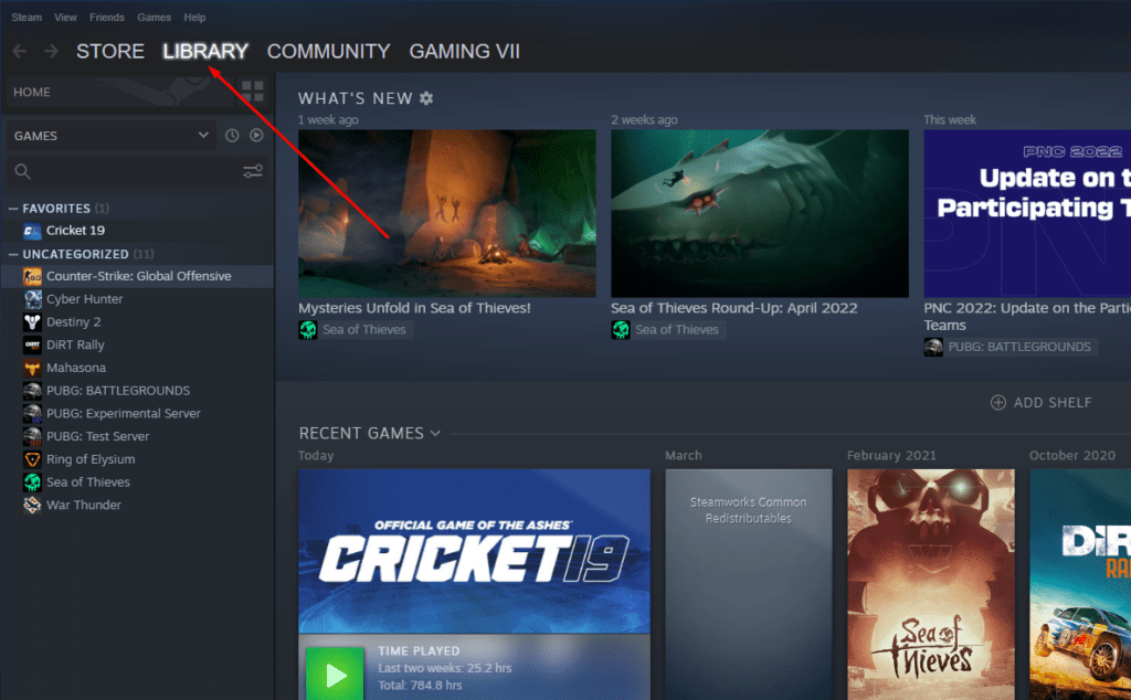 Cricket 19 Steam Won't Launch Fix Windows 10